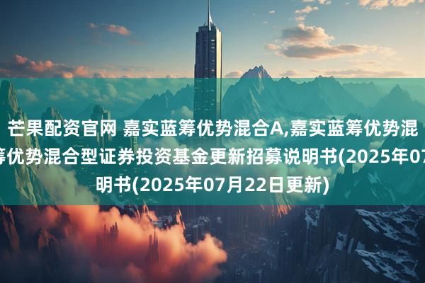 芒果配资官网 嘉实蓝筹优势混合A,嘉实蓝筹优势混合C: 嘉实蓝筹优势混合型证券投资基金更新招募说明书(2025年07月22日更新)