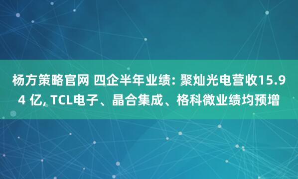 杨方策略官网 四企半年业绩: 聚灿光电营收15.94 亿, TCL电子、晶合集成、格科微业绩均预增